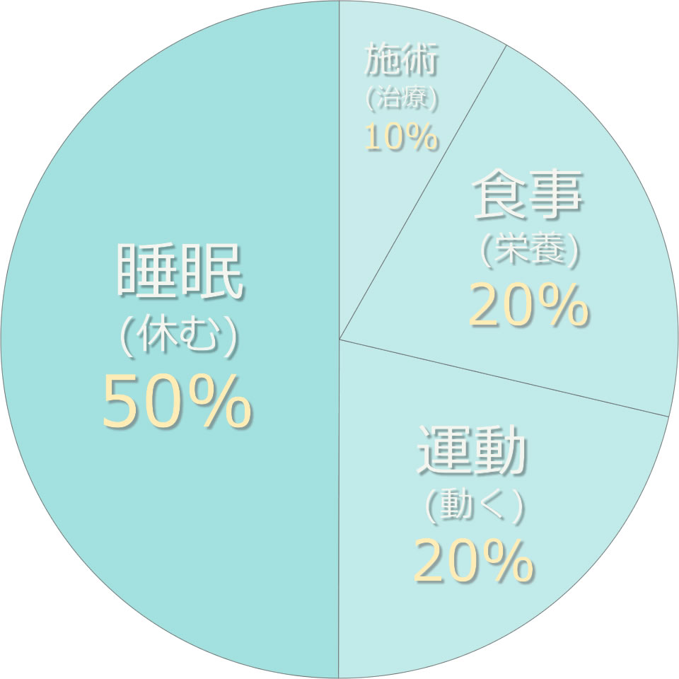 総合指導法 円グラフ